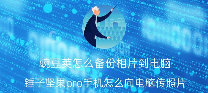 豌豆荚怎么备份相片到电脑 锤子坚果pro手机怎么向电脑传照片？